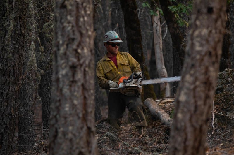 A sawyer with the Billings IA, a Bureau of Land Management Initial Attack crew based in Billings, Mont., saws off tree limbs while prepping a road for burnout operations in 2020 in Mendocino National Forest. File Photo by Spc. Michael Ybarra/U.S. Army