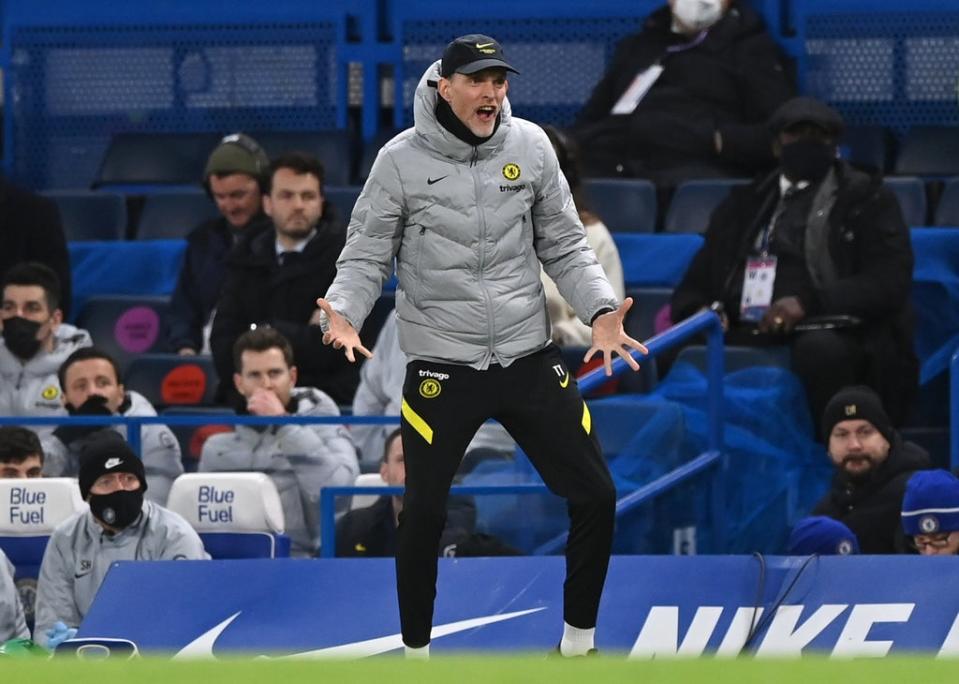 Chelsea were left frustrated by Brighton (Getty)