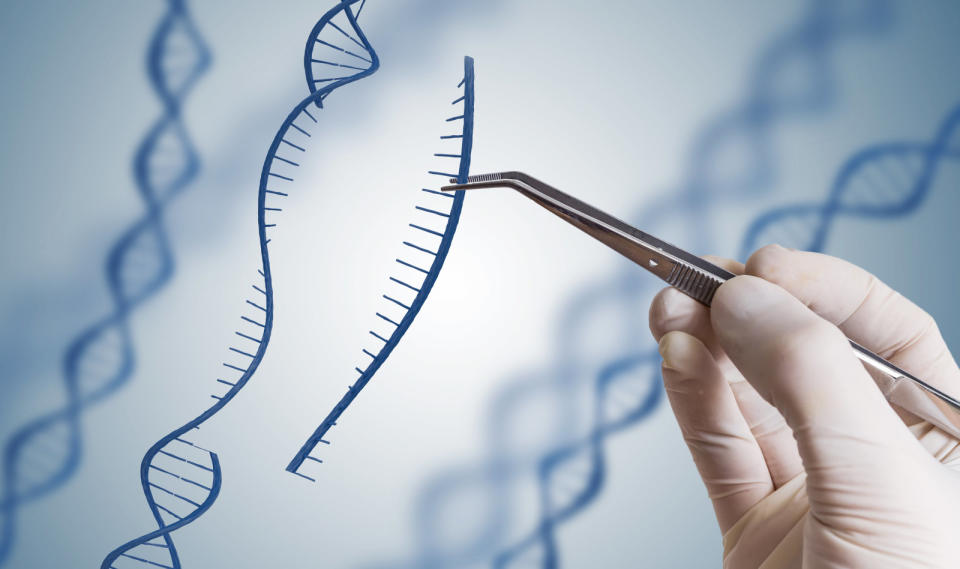 An international team of scientists have developed a new CRISPR-based, geneediting tool