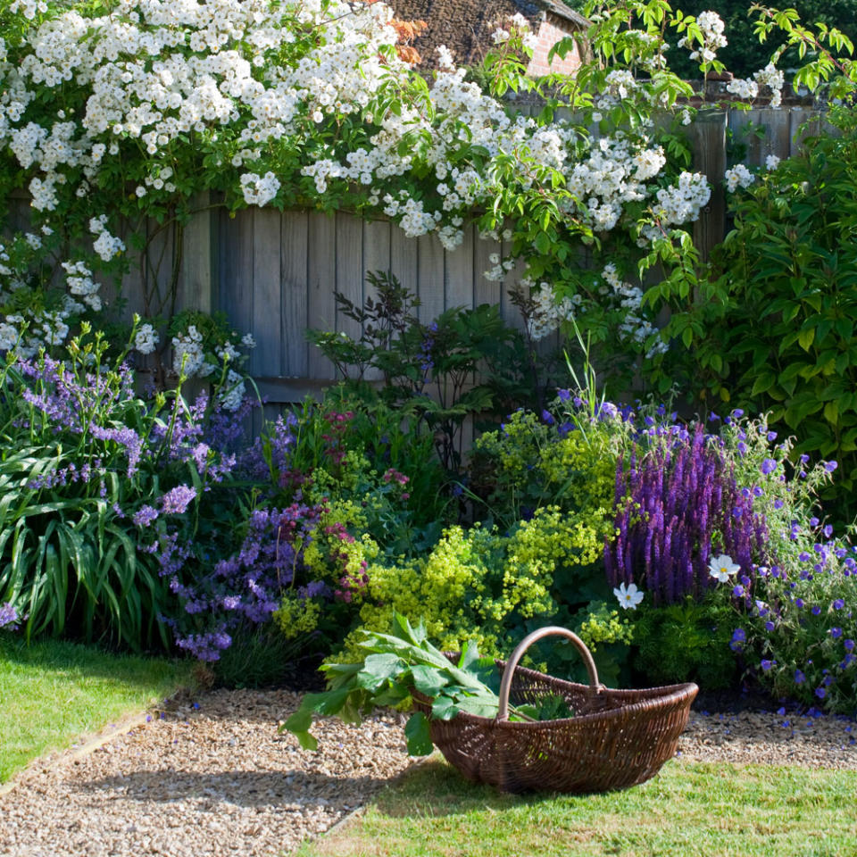 Consider your hedges and perennials