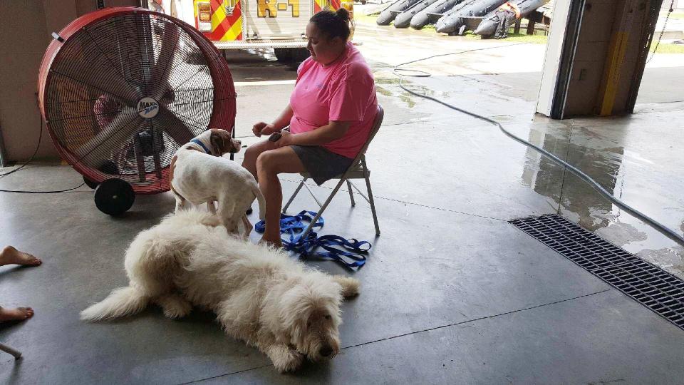 Morgan Peterson, of Vidor, sits with her dogs Fluffy and Cookie. Peterson took refuge at the Orange County firehouse when water began rising at her house.