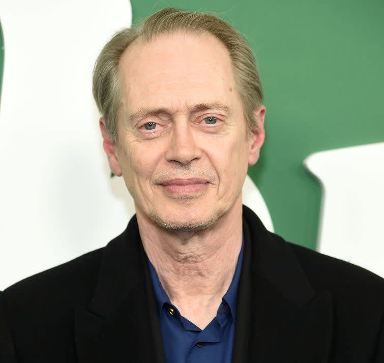 Close-up of Steve Buscemi