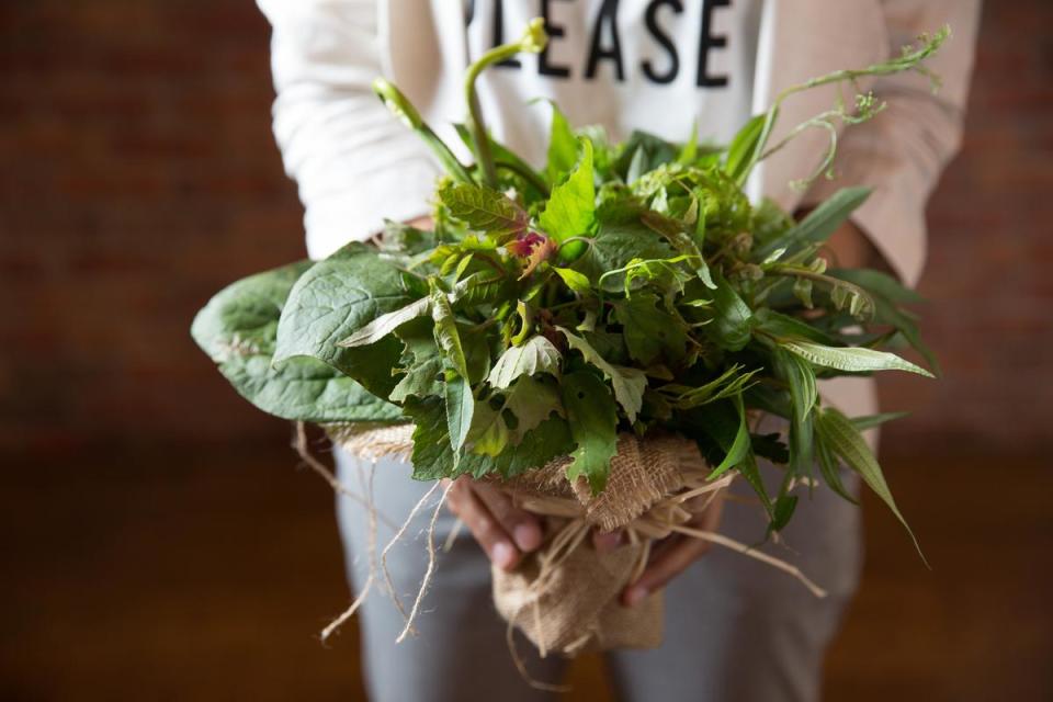 摘採的野菜綁成極美花束。