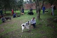 Workers from the Mayor's Animal Care Unit office pose for a photo with the dogs they care for, amid the coronavirus disease (COVID-19) outbreak in Bogota