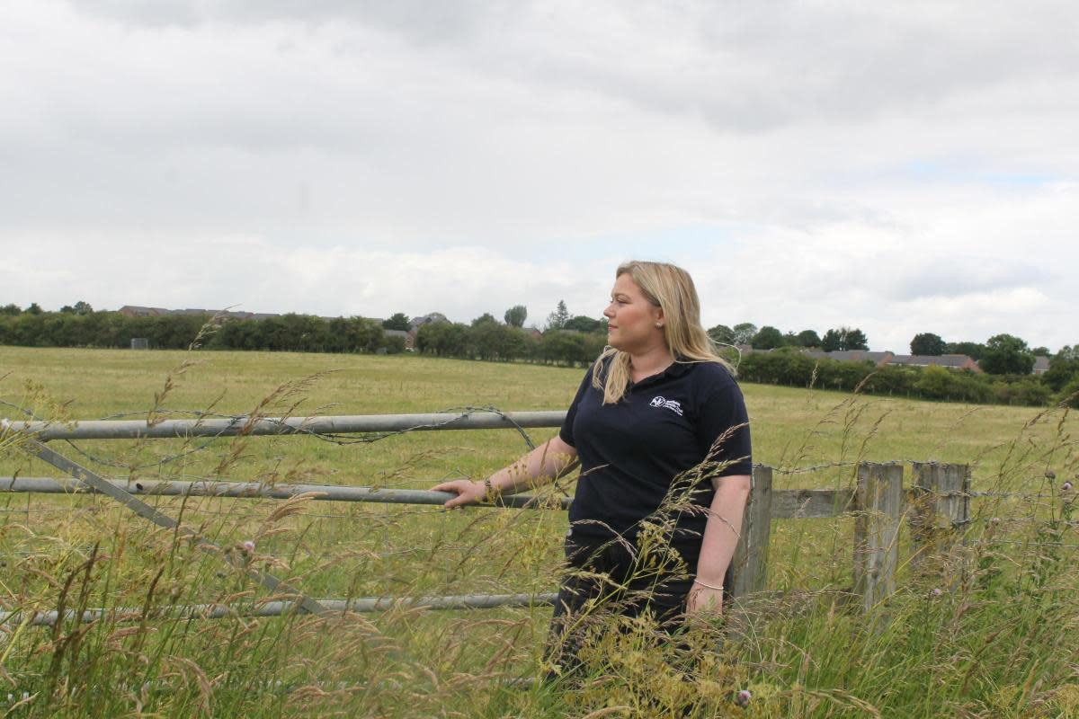 Emily Routledge, who is leading the appeal for Durham Wildlife Trust, at the fields onn the edge of Rainton Meadows <i>(Image: Peter Barron)</i>