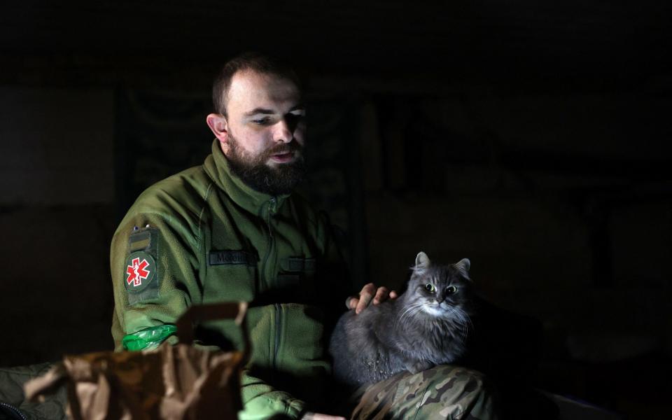 A military paramedic holds a cat in a bomb shelter in the frontline city of Bakhmut, Donetsk - ANATOLII STEPANOV/AFP