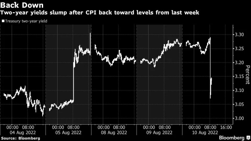 Fed hike bets fall; Treasury yields plunge