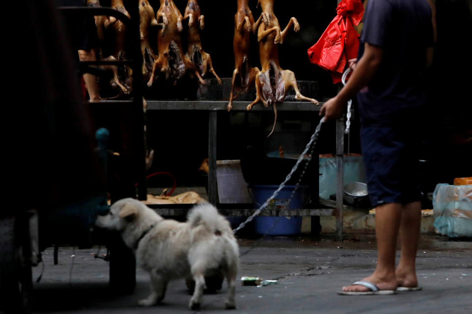 A man walks with his pet dog as he talks to a vendor who sells dog meat at a market during the local dog meat festival in Yulin. Source: Reuters