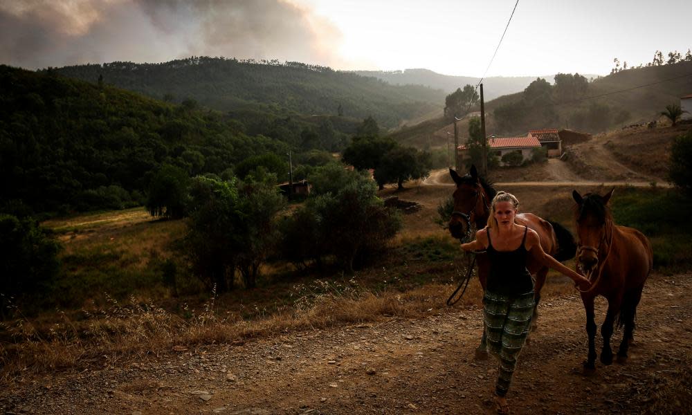 Horses in the Algarve are led away from a wildfire in August