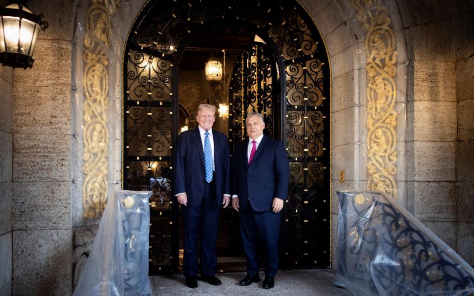 Mr Orban and the Republican candidate at Trump's Mar-a-Lago estate on Thursday