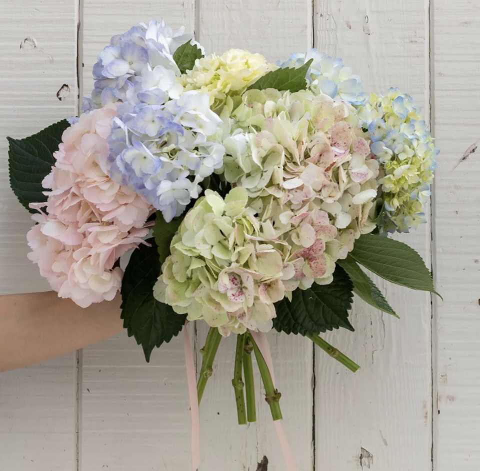 <p><a href="https://farmgirlflowers.com/cloud-sourced" rel="nofollow noopener" target="_blank" data-ylk="slk:Shop Now;elm:context_link;itc:0;sec:content-canvas" class="link ">Shop Now</a></p><p>Cloud Sourced</p><p>farmgirlflowers.com</p><p>$68.00</p>