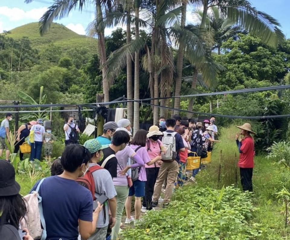 香港好去處｜大埔上水生態親子遊推介！每人$288起 夜探螢火蟲/任食豆腐花/自家茶果工作坊｜Yahoo購物節