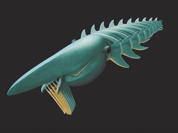 An artist's interpretation of Aegirocassis benmoulai, a remarkably well-preserved 480-million-year-old arthropod known as an anomalocaridid.
