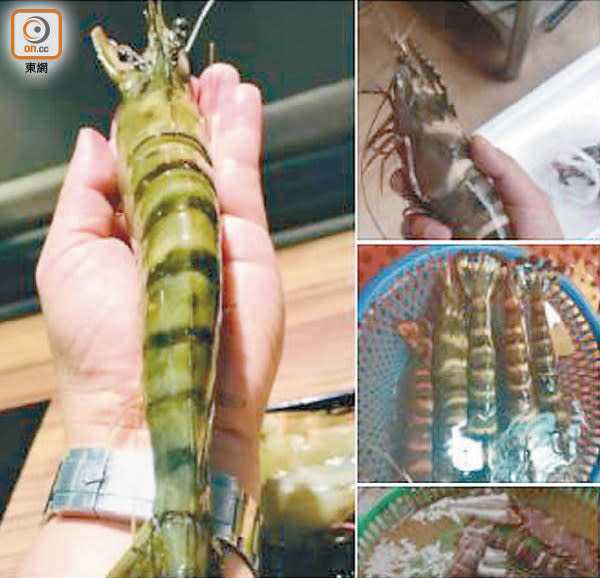 涉案網上平台在其專頁稱有出售巨型虎蝦。