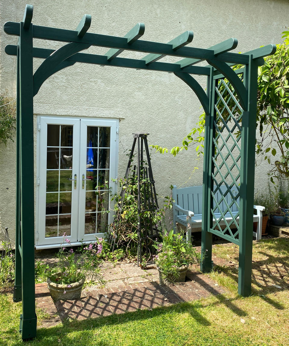 5. Grow shade-bearing plants on your pergola