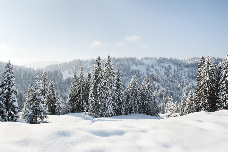 Bald könnte es Schnee in Deutschland geben (Symbolbild: Getty Images)