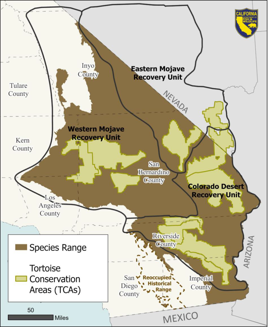 A map depicting the range of the Mojave desert tortoise.