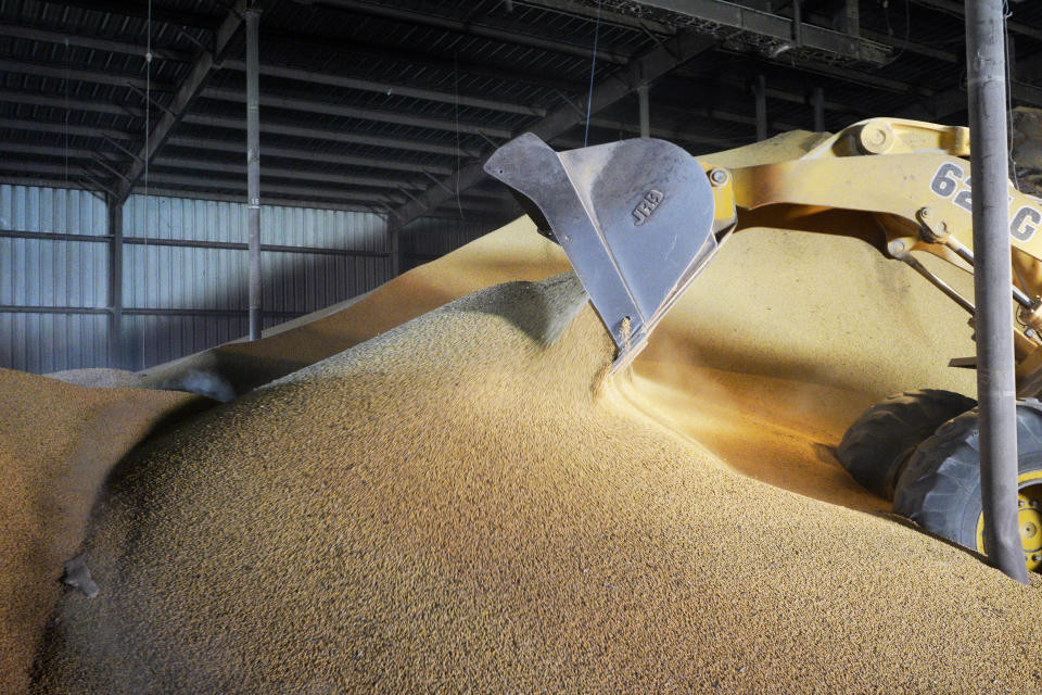 FILE - In this May 13, 2019, file photo a loader piles soybeans in Schuyler, Neb. President Donald Trump's tariffs are taxes paid by American importers and are typically passed along to their customers. They can provoke retaliatory tariffs on U.S. exports. And they can paralyze businesses, uncertain about where they should buy supplies or situate factories. (AP Photo/Nati Harnik, File)