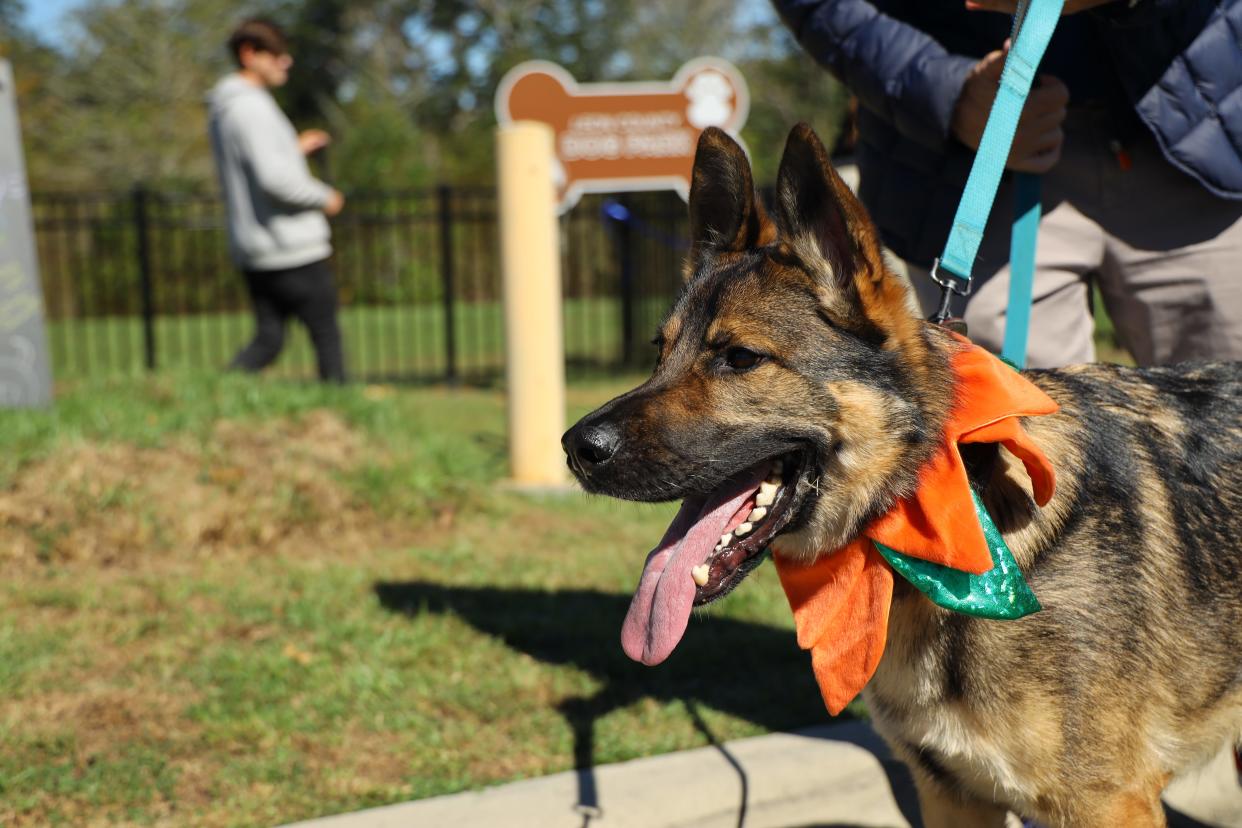 Leon County officials are taking water samples and have placed warning signage at the Bradfordville Dog Park after a parkgoer reported her dog was injured by “flesh eating mold.”