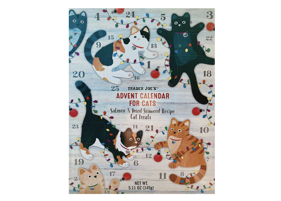 Trader Joe's Advent Calendar for Cats - Salmon and Dried (Photo: Amazon)


