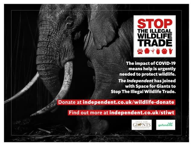 We are working with conservation charity Space for Giants to protect wildlife at risk from poachers due to support wildlife rangers, local communities and law enforcement personnel to prevent wildlife crimeThe Independent