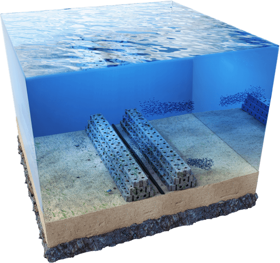 'Reefcubes' to help rebuild reefs.