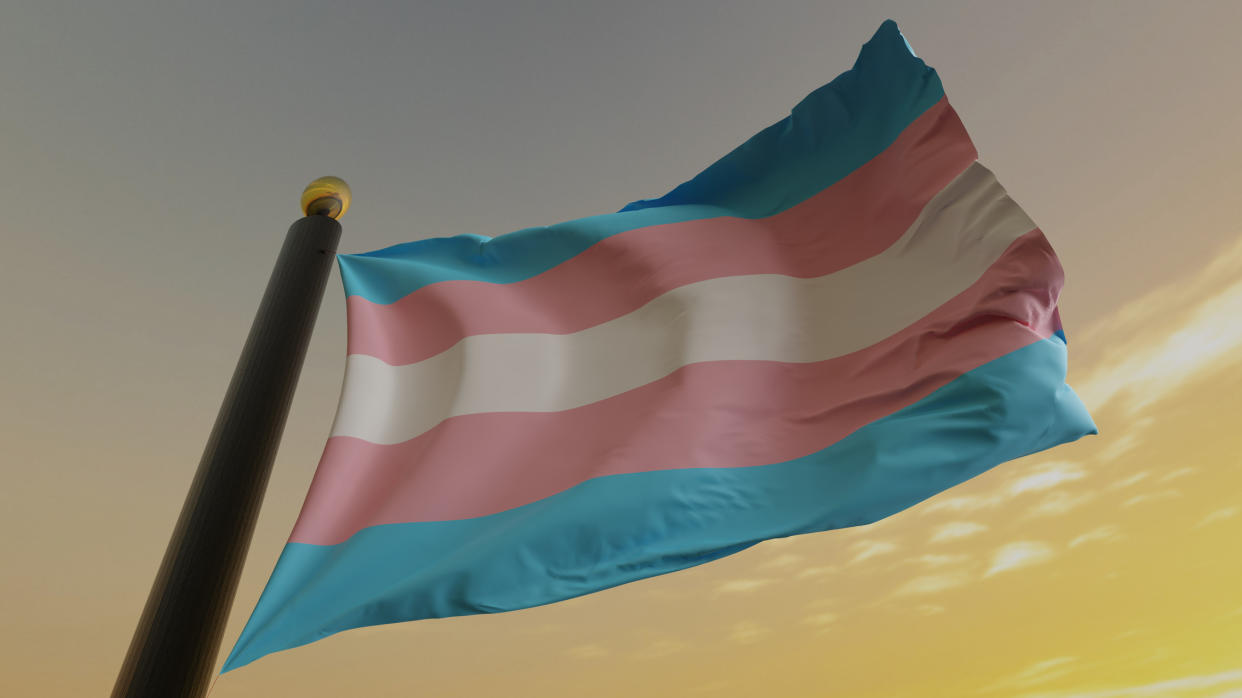 Transgender Pride Flag