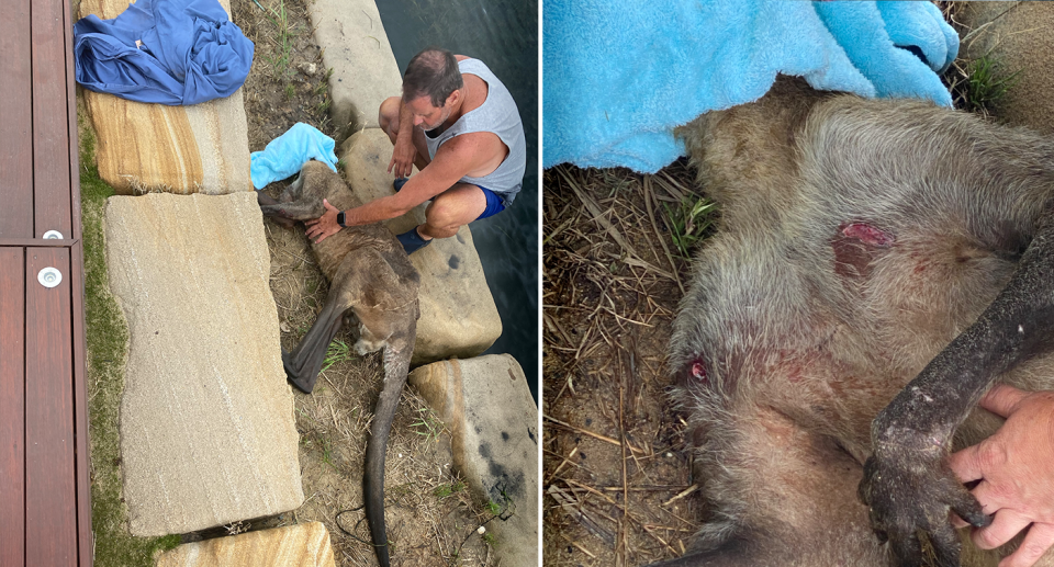 Richard Byrne sat with the kangaroo he tried to save. Source: Supplied