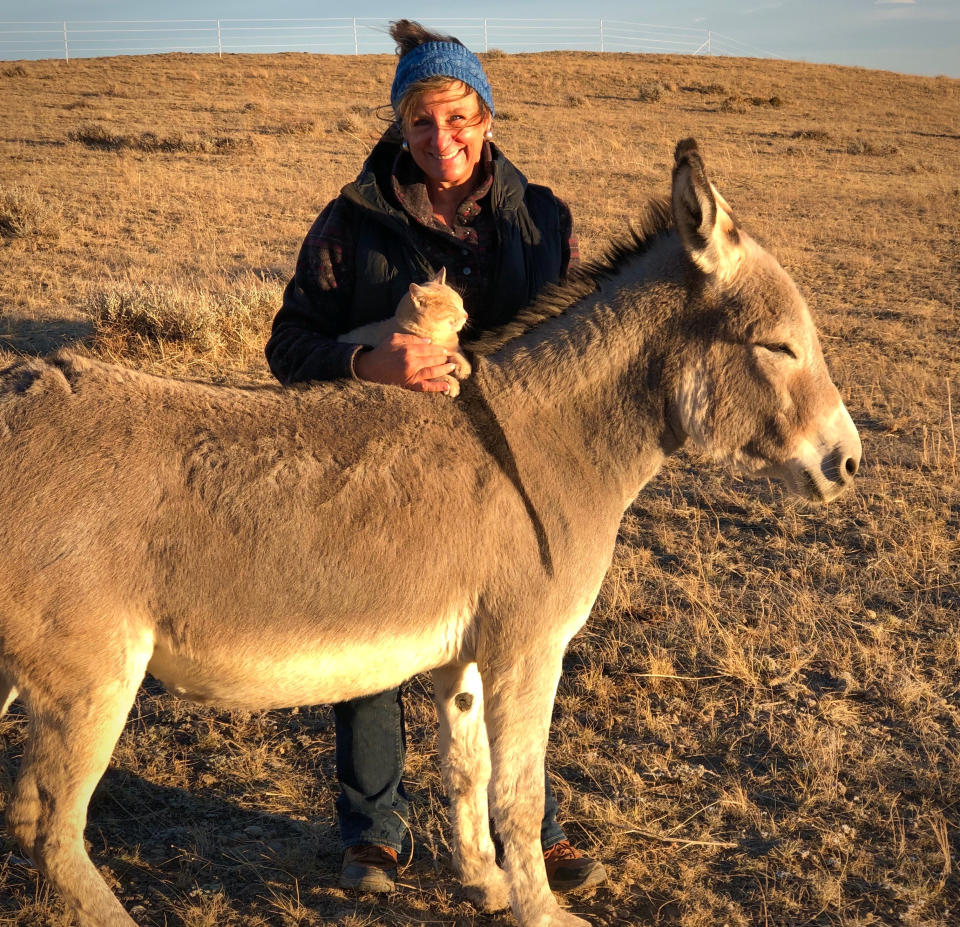 This cat and donkey have become best friends