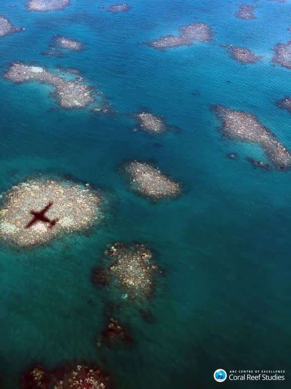 Aircraft shadow over bleached reef.