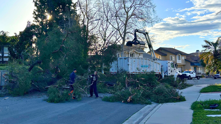 Crews work to clear a downed tree in a Rancho Cucamonga neighborhood on March 14, 2024.