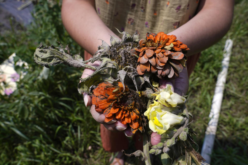 Melanie Guild, development director of Intervale Community Farm, holds a bouquet of mud covered flowers, part of crop destroyed when flood waters of the Winooski River overflowed into the 360 acre farm, Monday, July 17, 2023, in Burlington, Vt. (AP Photo/Charles Krupa)