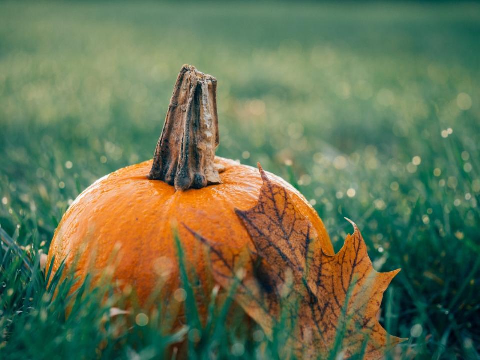 A stronger heart: Pumpkin seeds are a good source of phytoestrogens, plant-derived compounds that have been shown to manage cholesterol and improve heart health