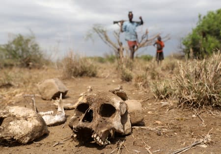 The Wider Image: When raiders menace in northern Kenya, grab your guns