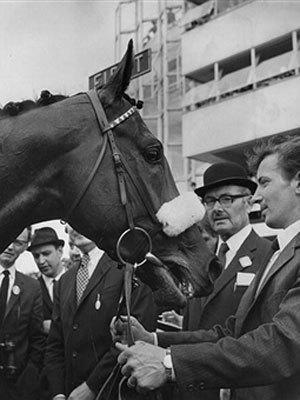 <p>Mill Reef was a Champion Thoroughbred racehorse and sire. He was bred in the United States but was trained in the United Kingdom throughout his racing career which lasted from 1970 to 1972. Mill Reef won twelve of his fourteen races and finished second in the other two. He was an outstanding two-year-old in 1970, and proved even better at three, winning the Epsom Derby, the Eclipse Stakes, the King George VI and Queen Elizabeth Stakes and the Prix de l'Arc de Triomphe.</p>