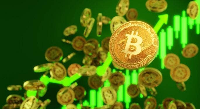 Alemania evalúa Bitcoin como moneda oficial por iniciativa de Joana Cotar