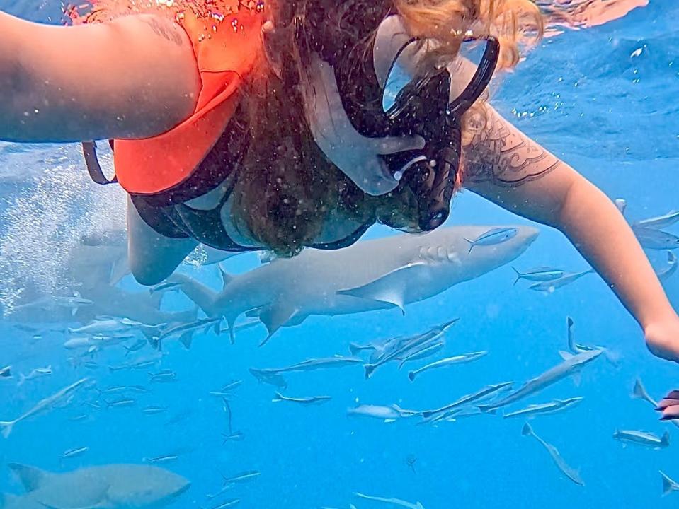 woman snorkeling with sharks in the ocean