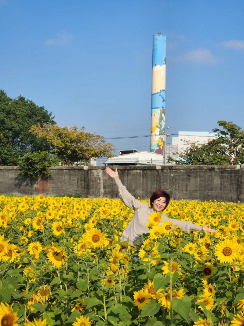 花在彰化春遊溪州　向日葵黃金花海夯景點