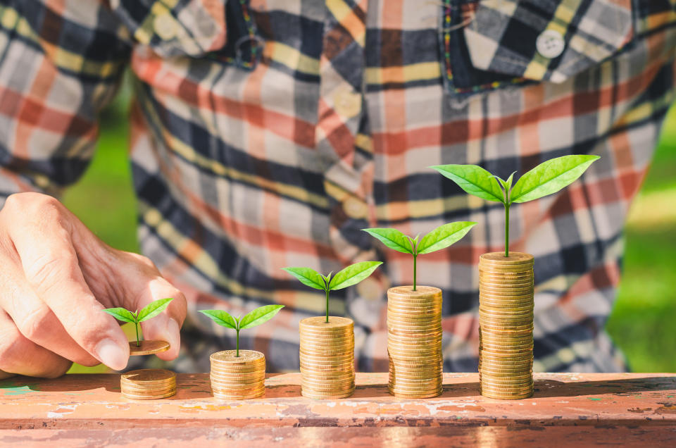 financial money saving concept. business hand put green plant growing coin stack.