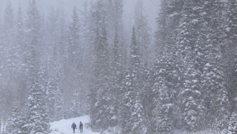 People hike to Donut Falls in Big Cottonwood Canyon on Dec. 1, 2023. Utah’s snowpack enters 2024 below normal for every region, but weather and climate models are beginning to point in the state’s favor. 