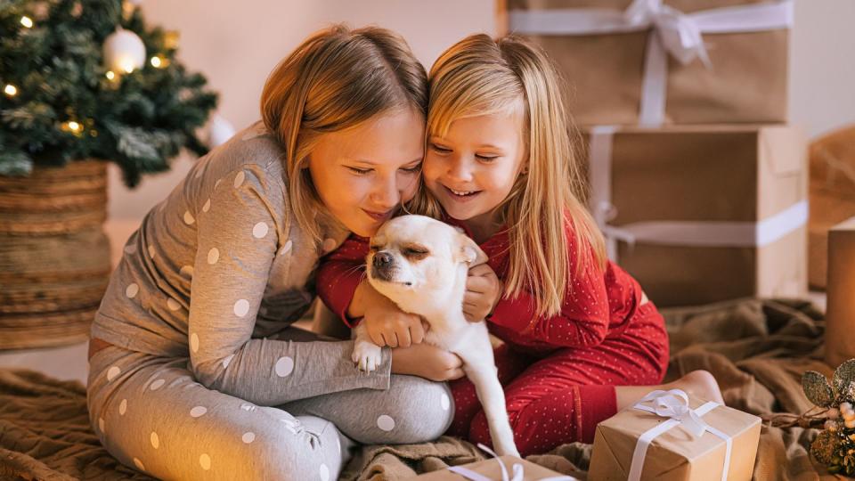 two little sisters playing with a cute dog at home on christmas