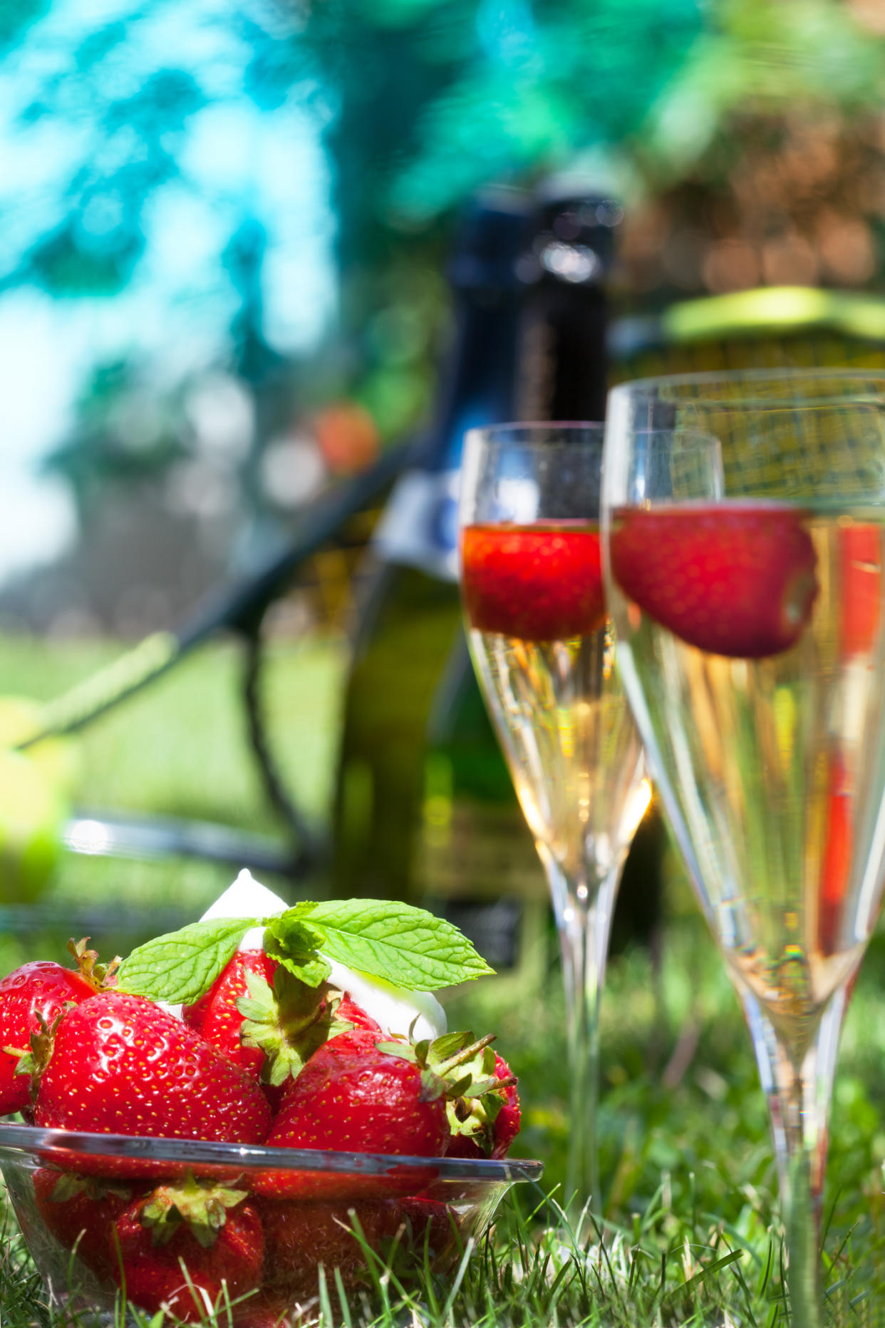 Wimbledon organisers have launched an at home picnic. (Getty Images)