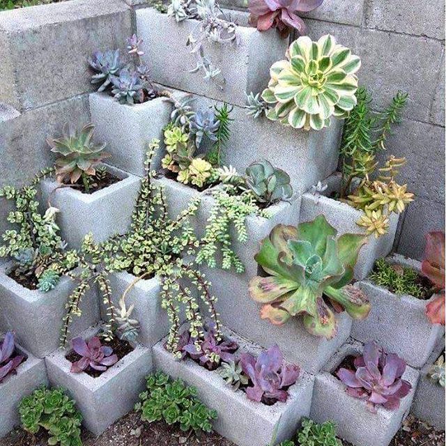 4) Succulent Containers