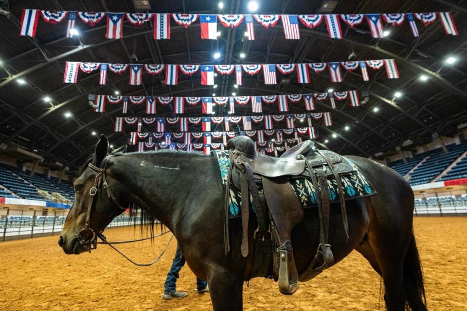 Show horse Mocha Bay Latte gets ready to warm up for the “Mustang Magic Freestyle” competition held on Friday with his owner Chris Phillips in the Exercise Arena in the Fort Worth Stock Show and Rodeo.