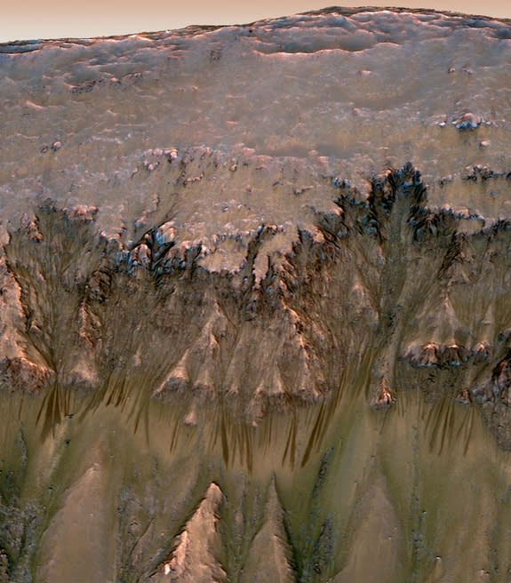 This image is a combination of orbital data and 3D modeling to display flows on Mars that seem to appear in summer and spring inside the planet's Newton crater.