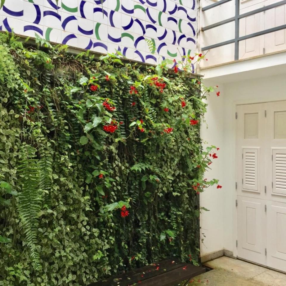 Inside Sikkema’s home in Rio was a plant wall and other designer touches. Before his death, he used it as a base to go to bathhouses to meet young men. brentsikkema/Instagram