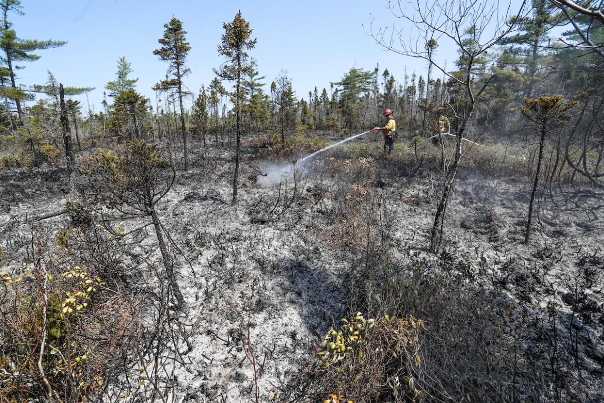 The Property Valuation Services Corporation is applying a 15 per cent discount to Nova Scotia properties damaged or destroyed by fire in 2023. (Communications Nova Scotia - image credit)