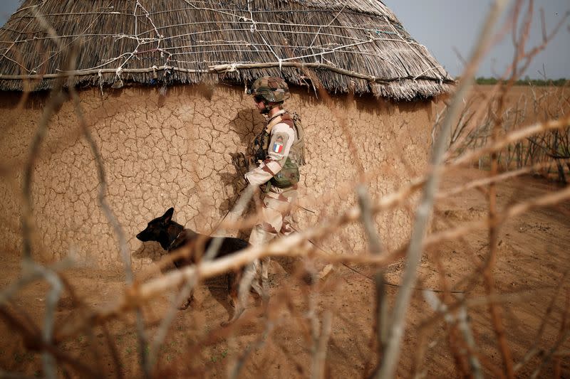 FILE PHOTO: A French soldier of the "Belleface" Desert Tactical Group (GTD) uses a sniffer dog to check for explosives during an area control operation in the Gourma region during the Operation Barkhane in Ndaki