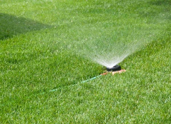 sprinkler watering green lawn