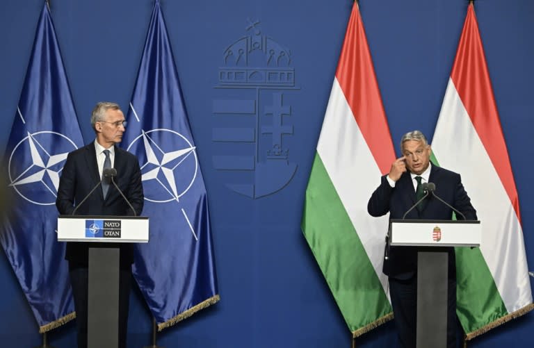El secretario general de la OTAN, Jens Stoltenberg (izq.), y el primer ministro de Hungría, Viktor Orban, el 12 de junio de 2024 en Budapest (Attila Kisbenedek)